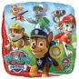 Paw Patrol Team Foil 43cm