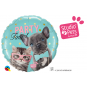 Party Time Pet Studio 56cm : $21.50
